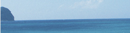 www.traveljungle.co.uk
